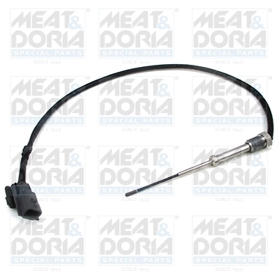 Sensor, exhaust gas temperature